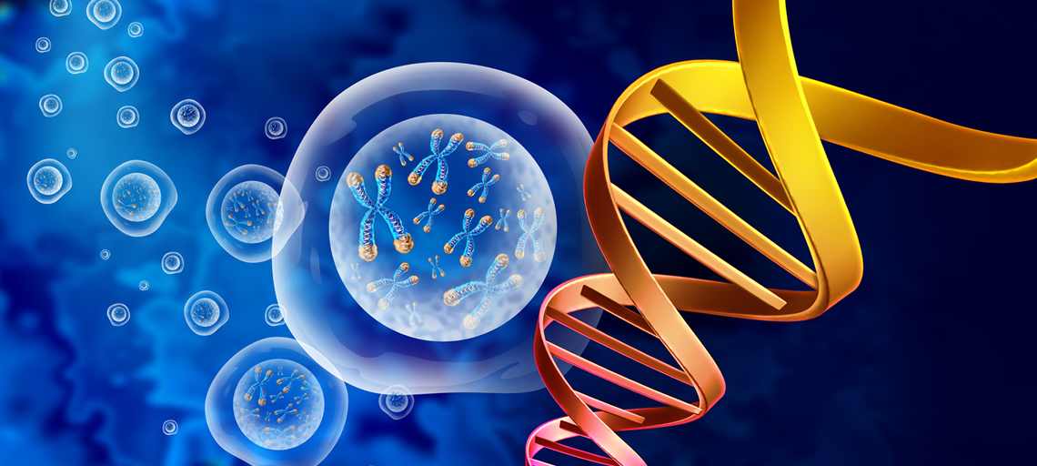 Genetic Carrier Screening in Donor Egg IVF